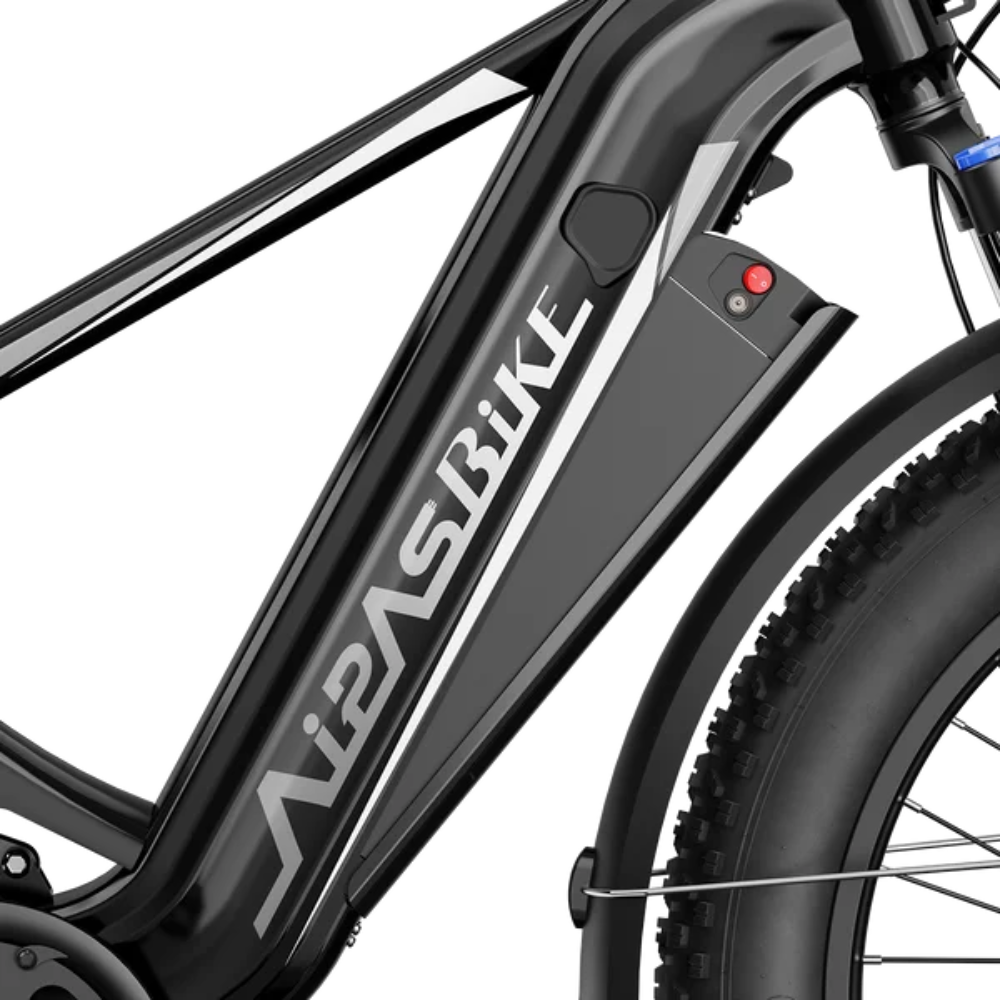 Aipas M2 Xterrain Ebike Aipas-M2-black Baskets.