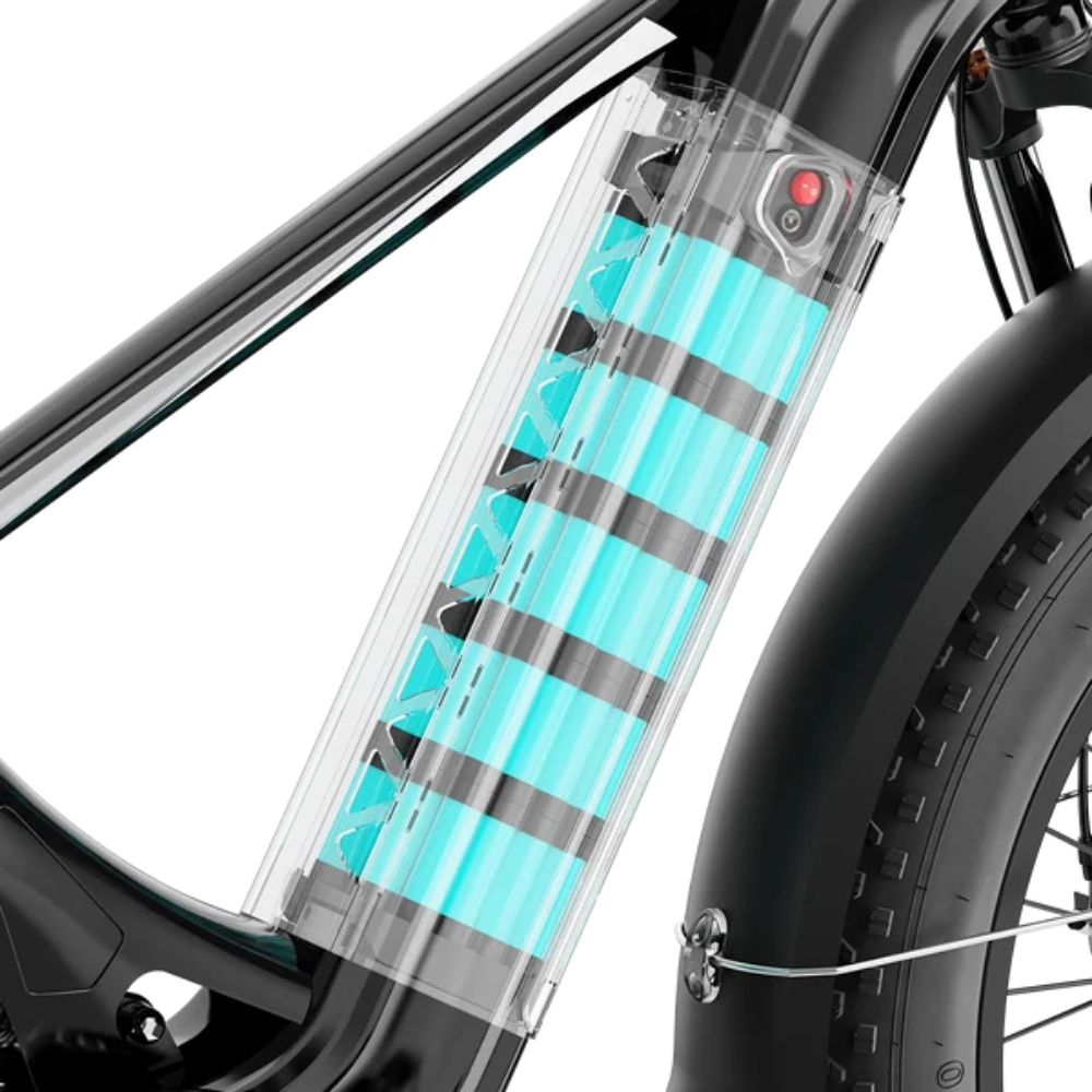 Aipas M2 Xterrain Ebike Aipas-M2-black Baskets.
