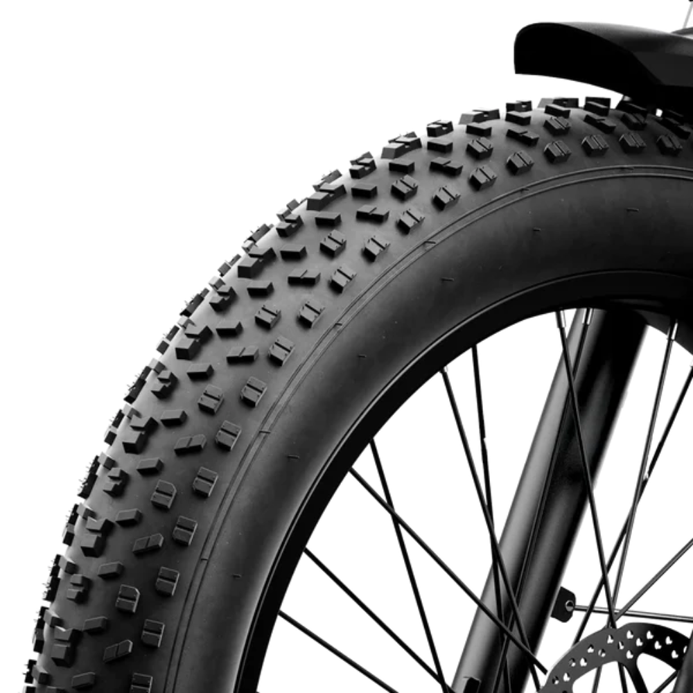 Aipas M2 Xterrain Ebike Aipas-M2-black Baskets.