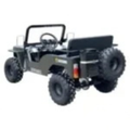 Massimo Minis 125 Go Karts 125cc 9hp
