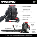 PRORUN PBB2884 Gas Backpacks Leaf Blower