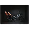 Rad Power Bikes RadWagon 5 Electrics Cargo Bikes