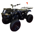 Rps 200cc Utiliity 169 cc ATV