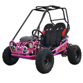 TrailMaster MINI XRX+ Go-Karts.
