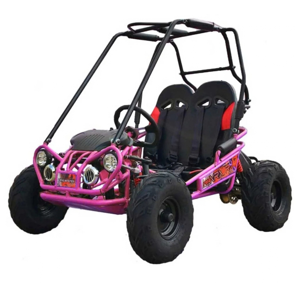 TrailMaster MINI XRX+ Go-Karts.