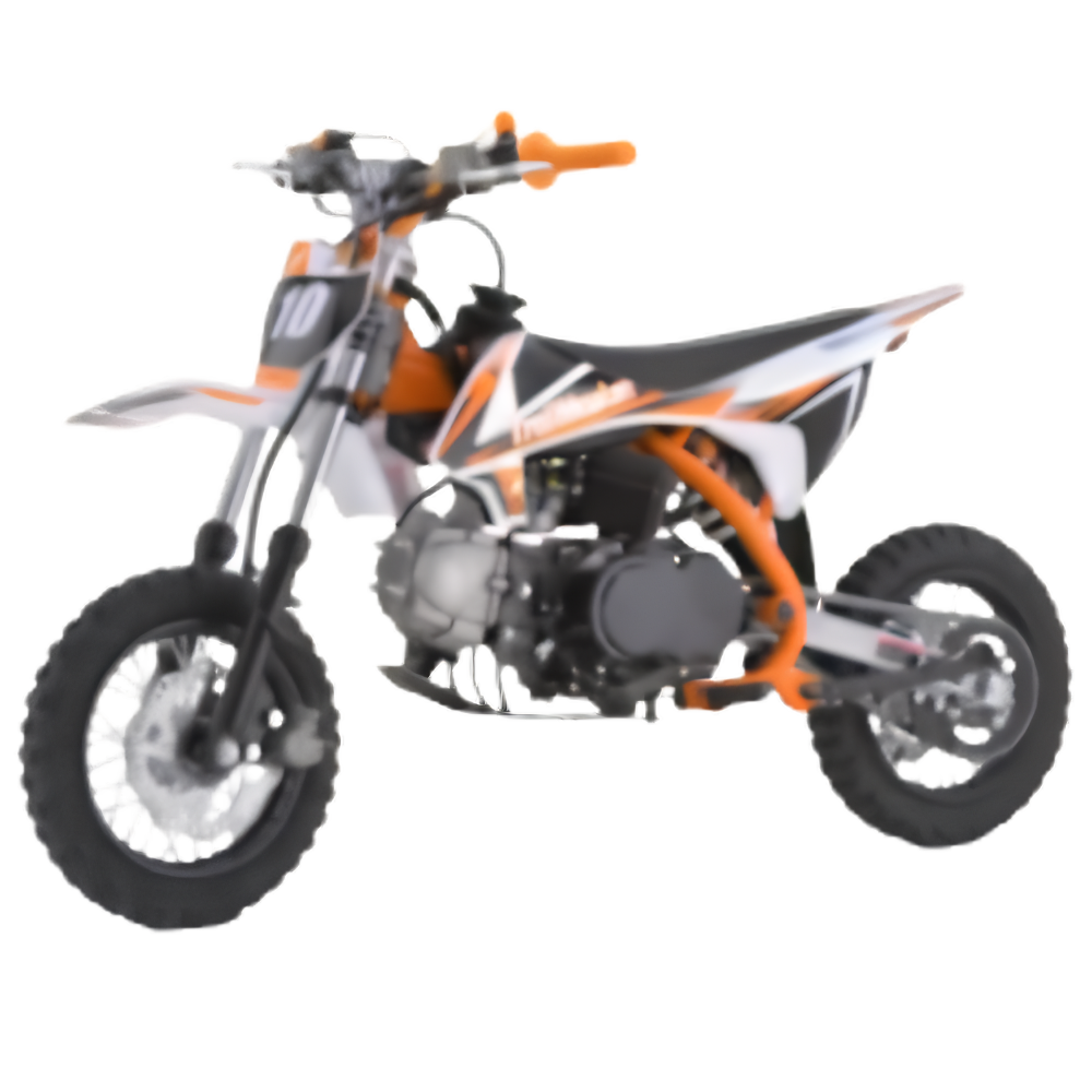 TrailMaster TM10 110cc Automatic 4-Stroke Dirt Bikes