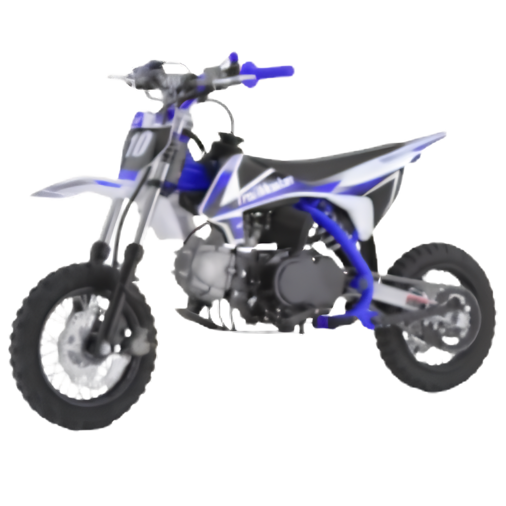 TrailMaster TM10 110cc Automatic 4-Stroke Dirt Bikes