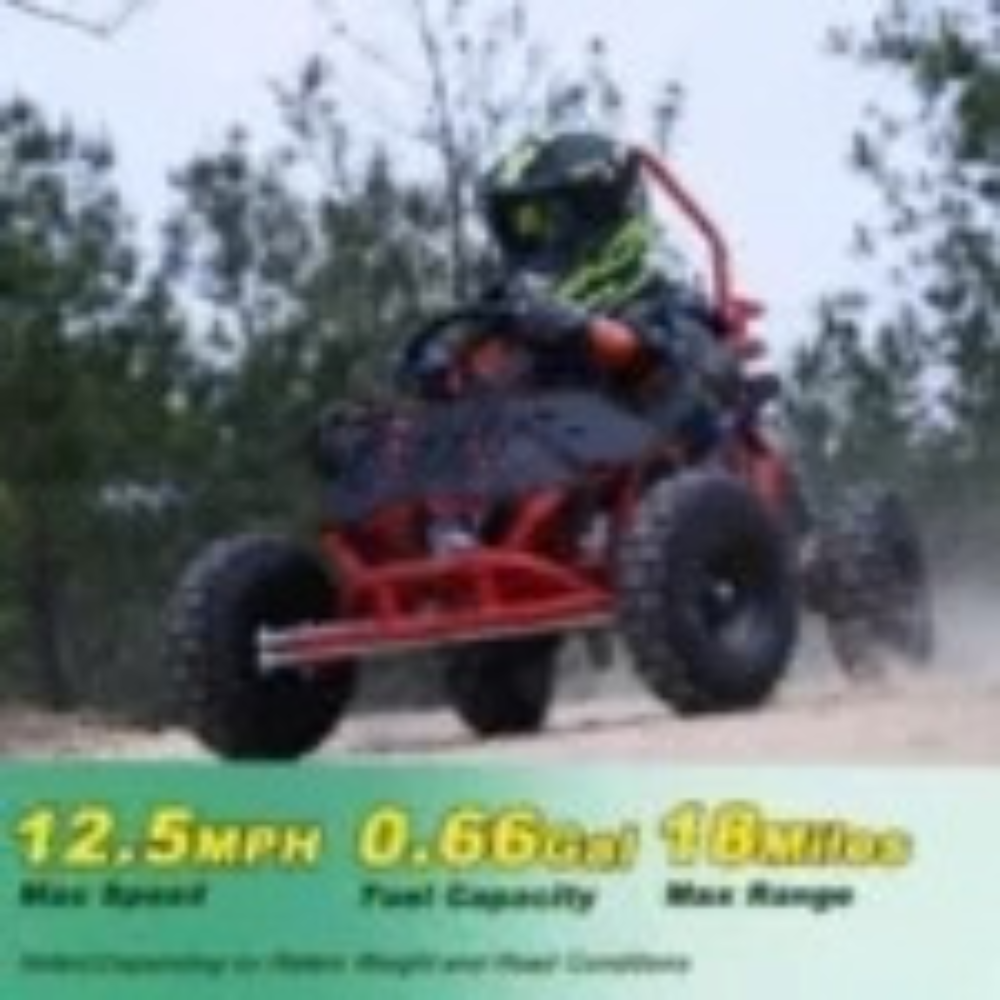 X-Pro Rover 50 Go Karts.